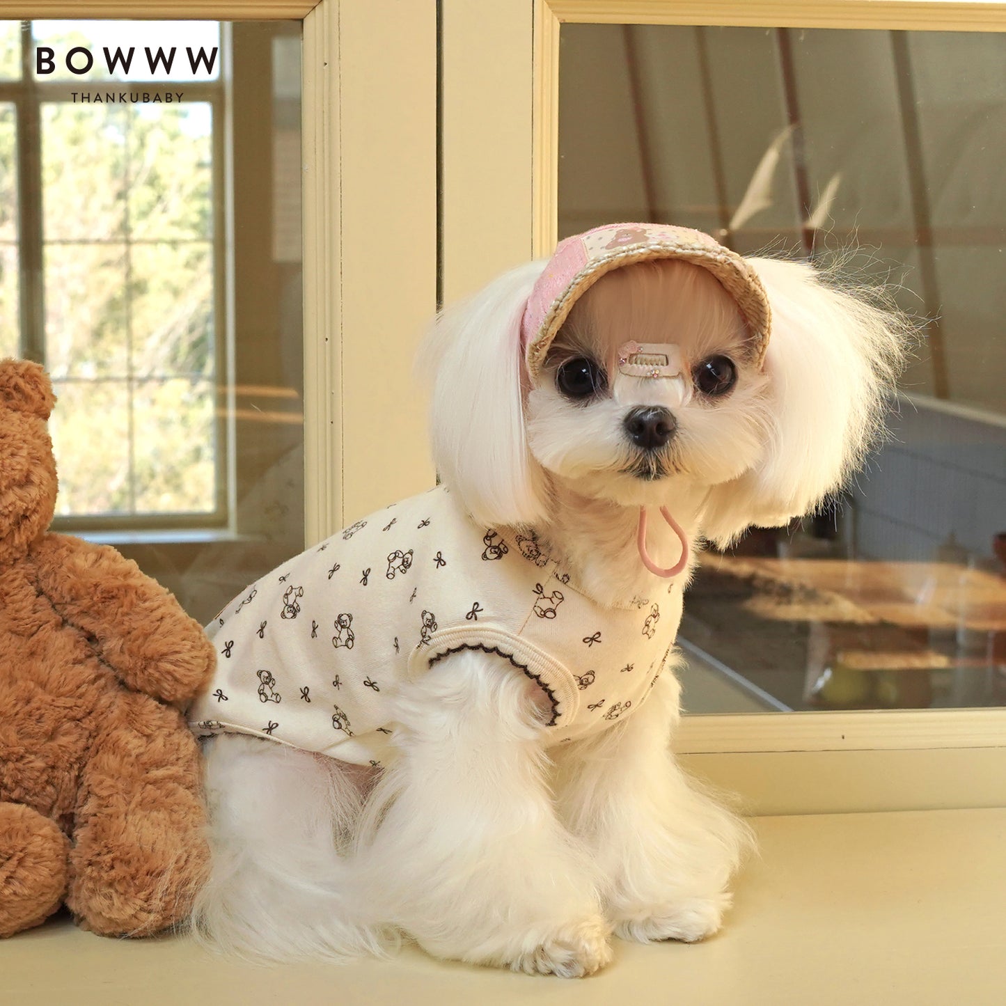 Baby Bear Onesie & Vest