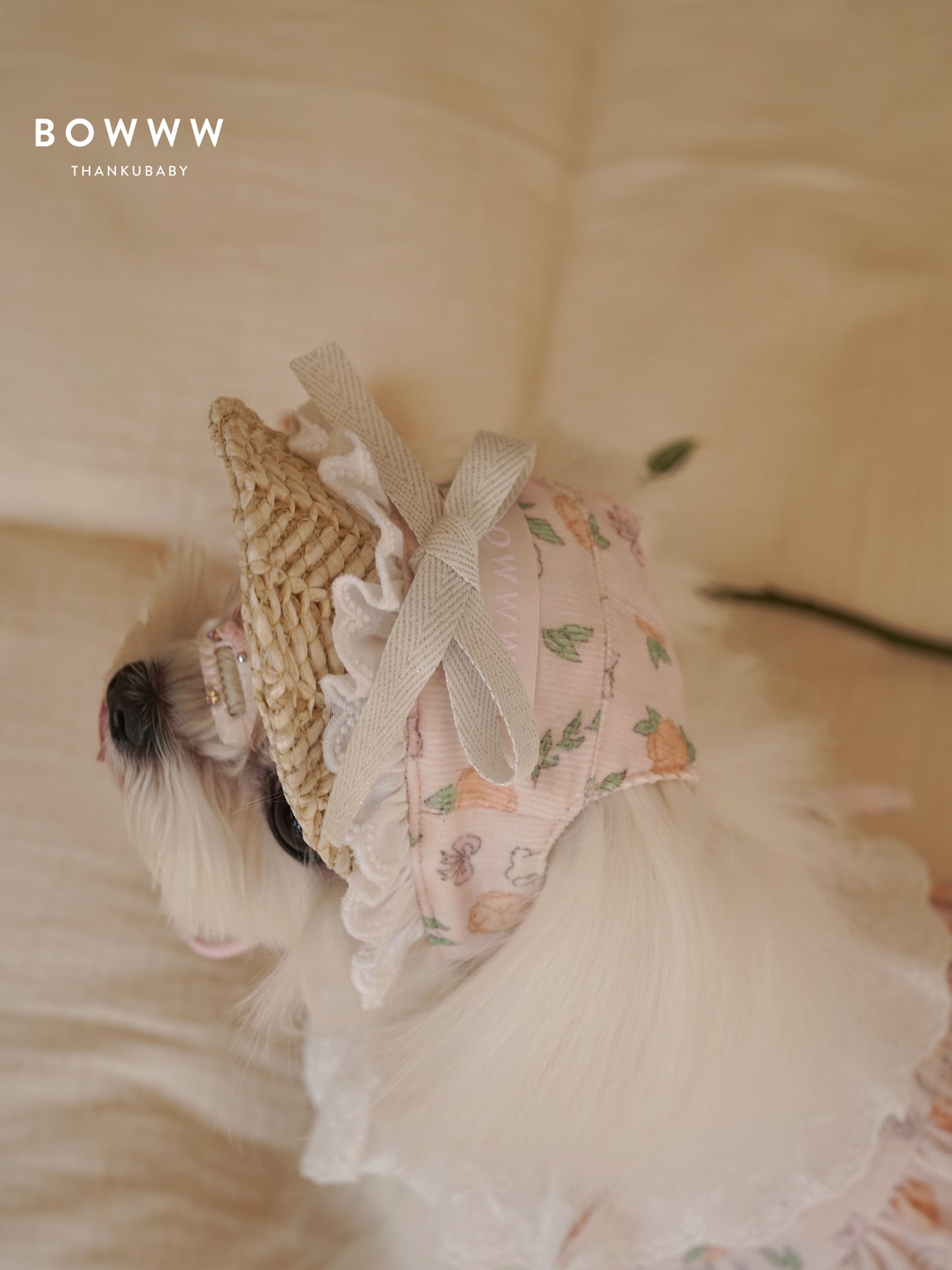 Bunny Lace Pet Hat